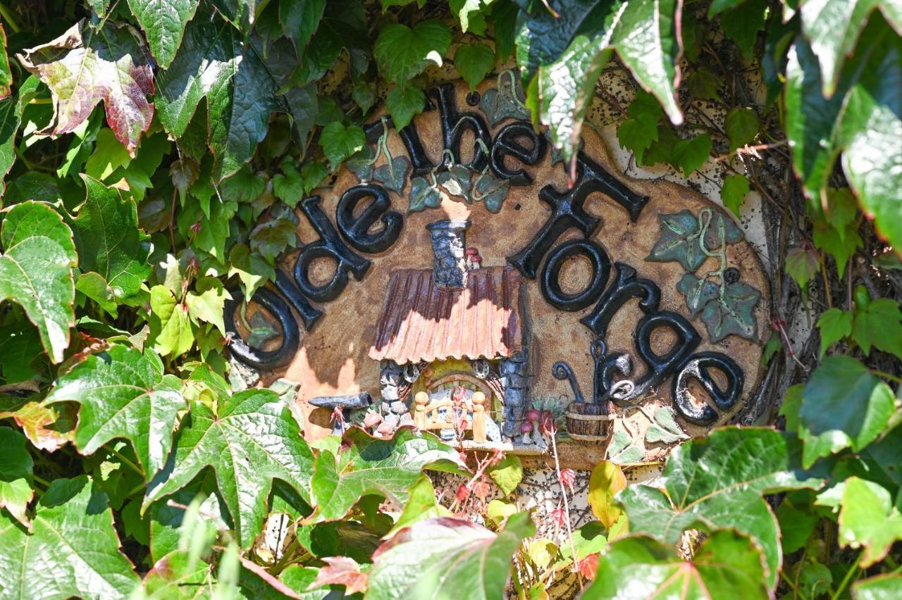 The Olde Forge B & B Caherdaniel Eksteriør bilde